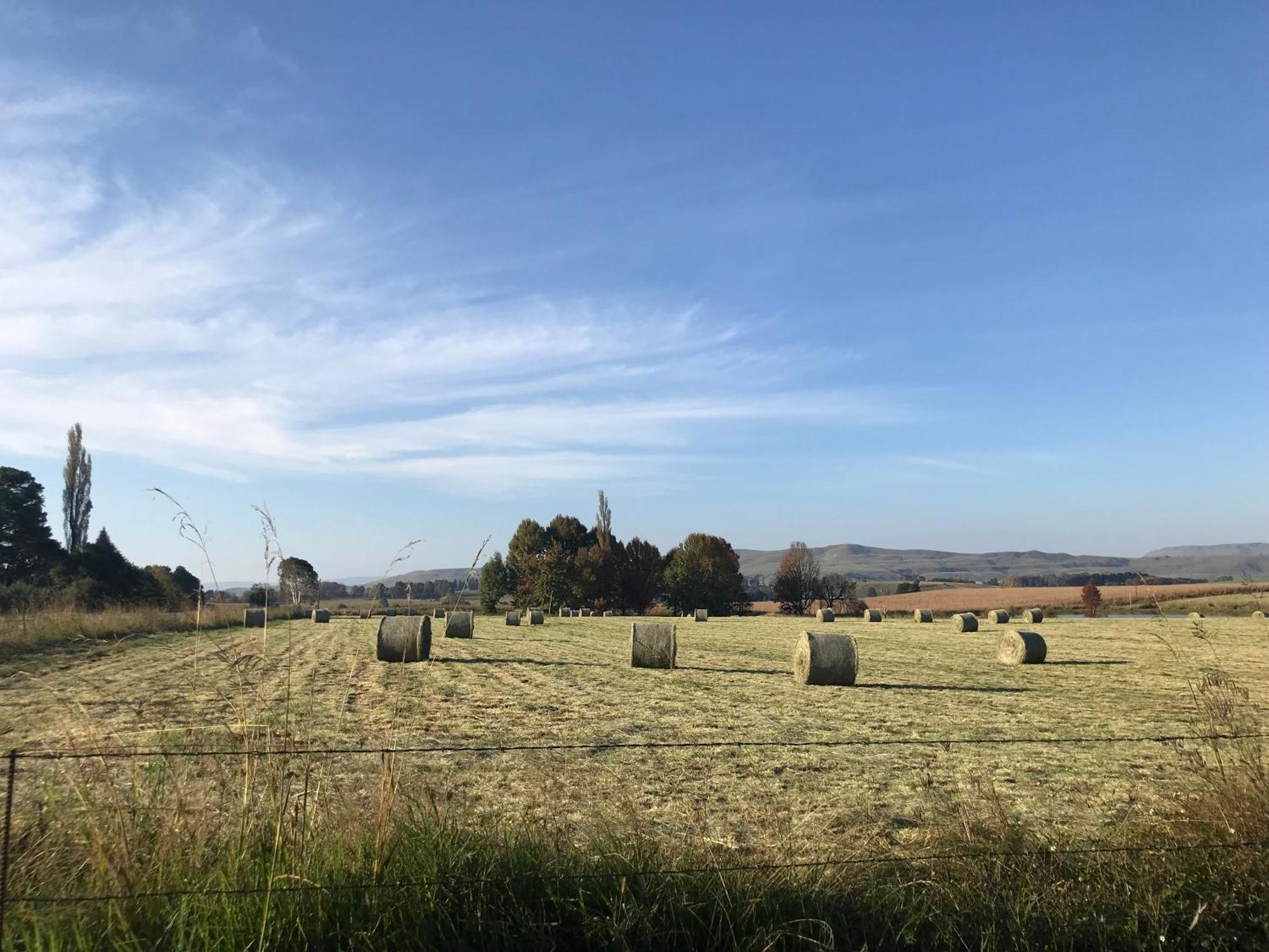 Penzion Karmichael Farm Himeville Exteriér fotografie